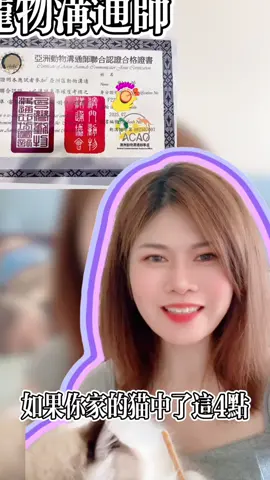 貓貓和我是雙向奔赴的！ #貓咪 #動物溝通師愛琳 #布偶貓 #療癒 #