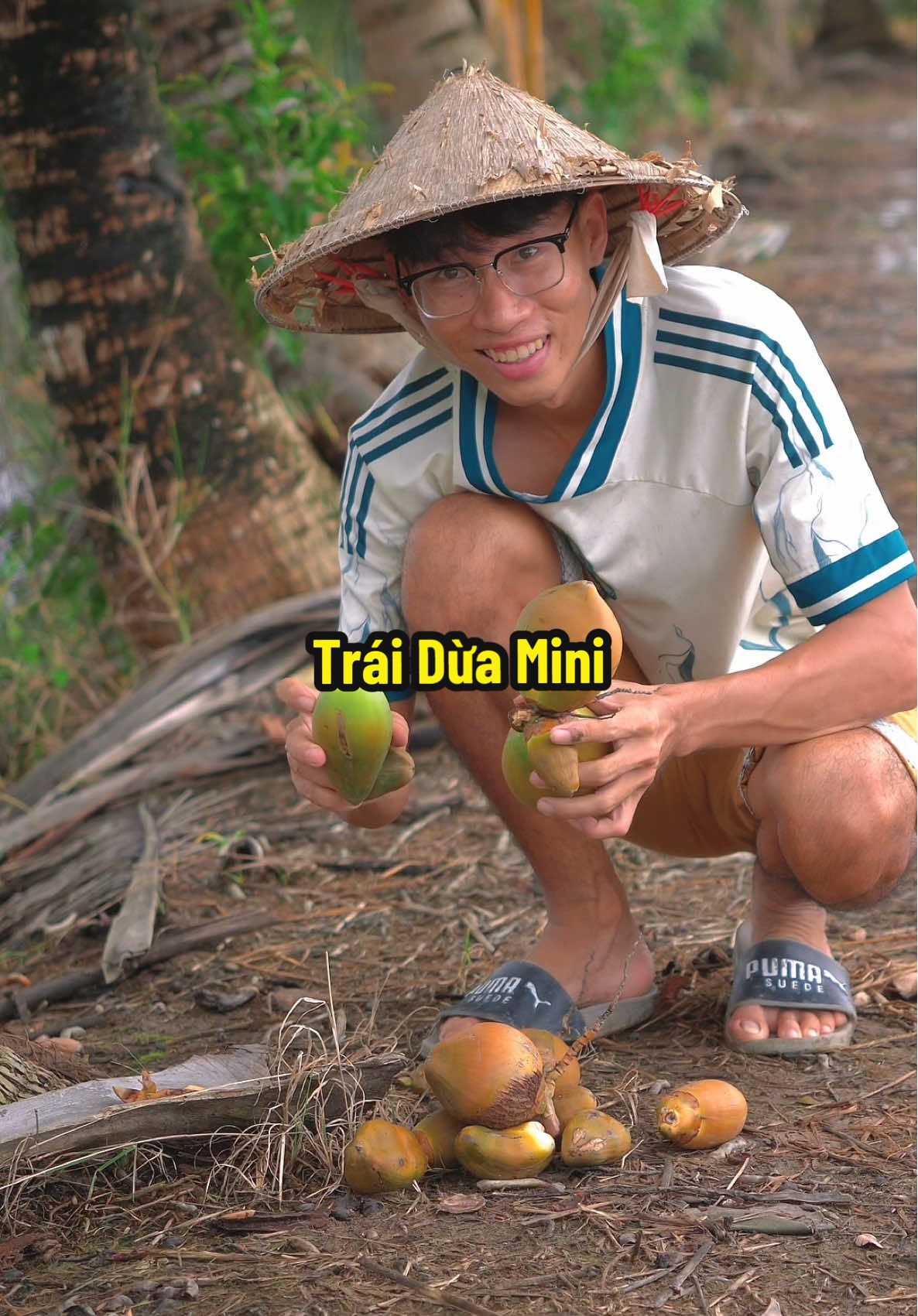 Hái Dừa Mini - Cây Dừa Ẻo #hienonha 