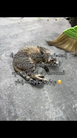 @Izu—  နော် 😡🫵#fyp #foruyou #foryou #tiktok #crd 