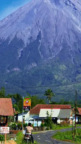 Semeru Hari Ini #lumajang24jam #pronojiwo #gunungsemeru 