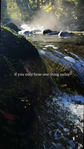 Everything happens at the right time. Trust the universe. Trust your journey 🌿🫶🏼 #nature #naturelover #slowmotion #river 