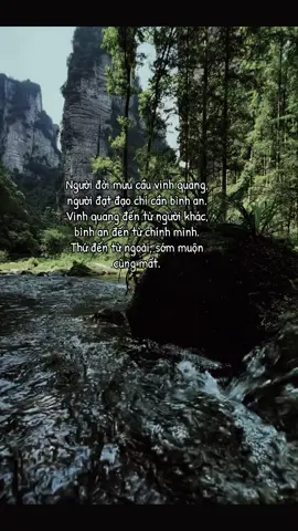 Người đời mưu cầu vinh quang, người đạt đạo chỉ cần bình an. Vinh quang đến từ người khác, bình an đến từ chính mình. Thứ đến từ ngoài, sớm muộn cũng mất.  #daogiao #khongtu #phatphapnhiemmau #tamthanh 