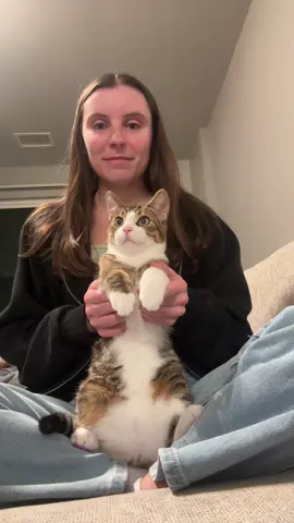 Welcome to the Whiskey slide #dancingcat #kitten #fyp #foryoupage #kittensoftiktok 