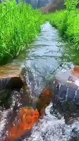 Nature Sound for Relaxation 84 Flowing Water #short #watersounds #flowingwater #naturrelaxation