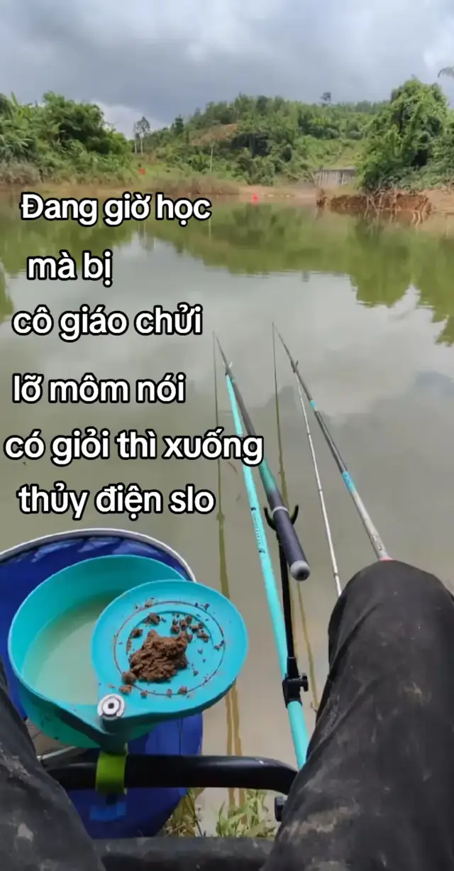 #moicaucakimlong #baoca #caucatunhien #xu #xuhuongtiktok 