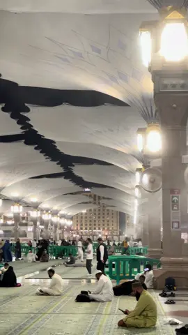 اللہ کریم آپ سب کو مدینہ پاک کی بادب حاضری نصیب فرمائے آمین  #madinahalmunawaroh #madina #followersreels #daroodpak #tody 