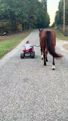 There’s not much more amazing than seeing two of your little miracles in your day to day life 💞#barrelracer #equine #horses #cowgirl #countrylife 