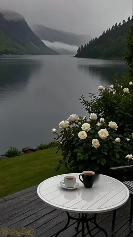 أسأل الله العظيم  أن يحفظكم بحفظه .. ويمدكم بمدده .. وأن يستركم بستره وأن يجعل لكم من كل همٍ فرجًا .. ومن كل ضيقٍ مخرجًا.. ومن كل بلاءٍ عافية#صباحكم_سعاده #اللهم_بك_اصبحنا#اصباحنا_و_اصبح_الملك_لله #صباح_الخيِر #صباح_الورد 