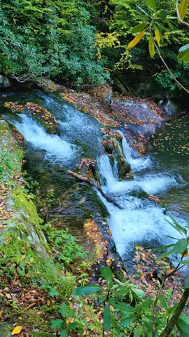 Good Waterfall Wednesday. Make it a great day. #waterfall #autumn #nature #Outdoors #Hiking 