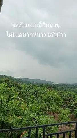 ตกทุกวัน..ตกได้ตกดี😅😅#กาแฟสักแก้วมั้ยคะ ☕🍰#บ้านไร่ไอดิน #บ้านพักวิวเขา#บ้านพักด่านช้างสุพรรณบุรี 
