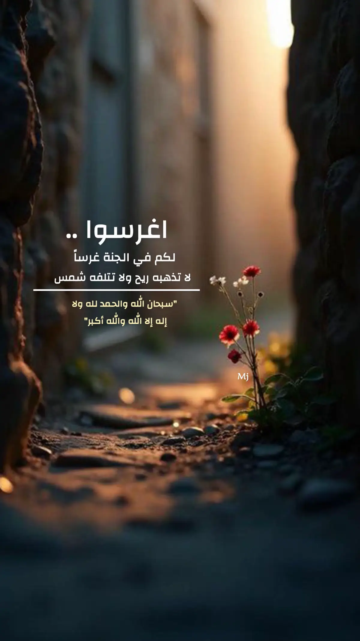 #اغرسوا لكم غراساً في الجنة .. #اقتباسات_عبارات_خواطر #ميما🇸🇦 