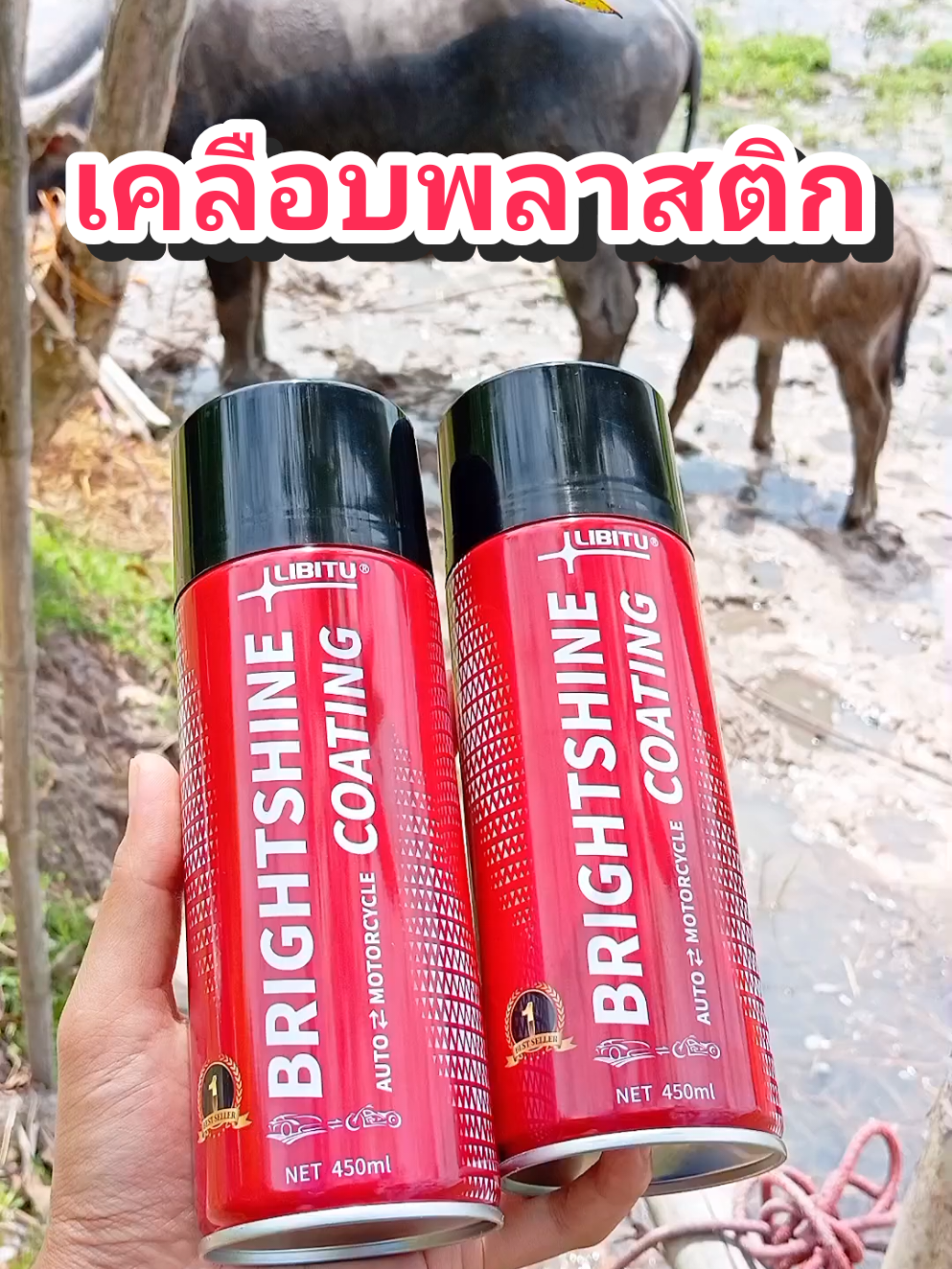 รถยนต์เหมือนใหม่ สเปรย์เคลือบแก้วพลาสติก #สเปรย์เคลือบแก้ว #สเปรย์ฉีดพลาสติก #สเปรย์รถยนต์ 