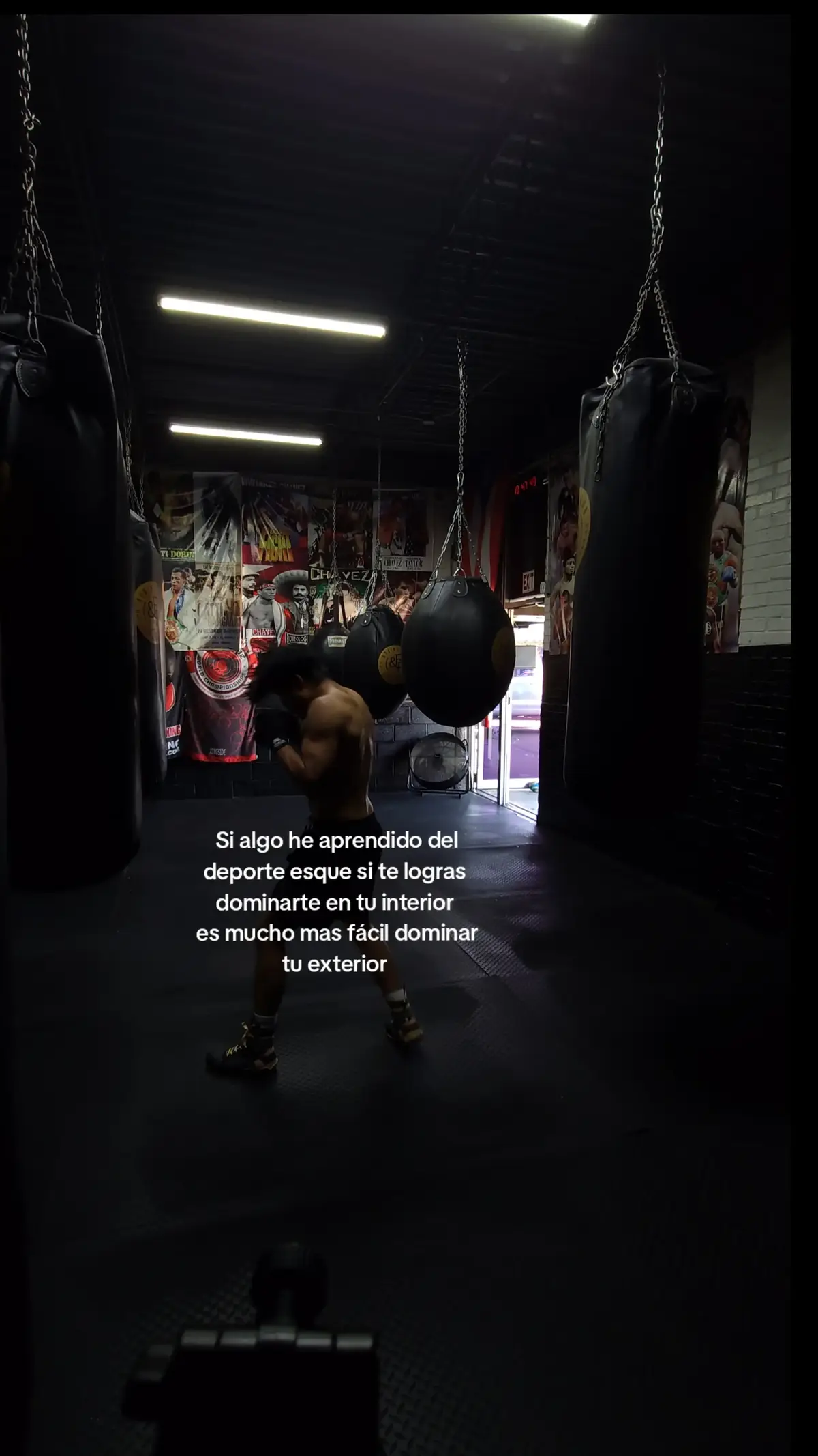 #fypシ #foryoupage #viral #boxeo 