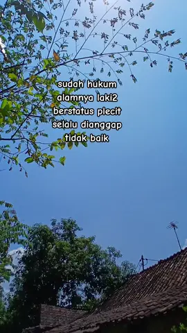 #ppppppppppppppppppppppp #plecit #viraltiktok 