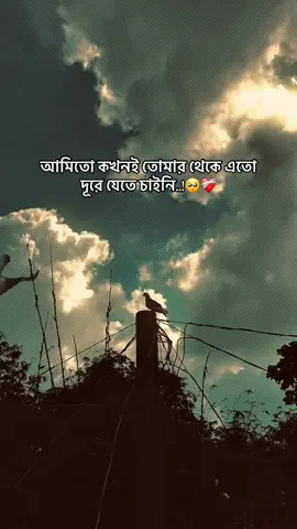 আমিতো কখনই তোমার থেকে এতো দূরে যেতে চাইনি..!🥺❤️‍🩹 #foryou  #the_spydoo 