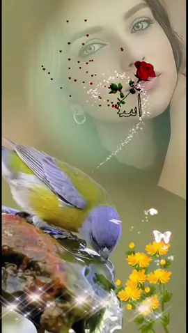 @Bashka_family😺 #🌼صبـ🌤ــــــــــاح الورد