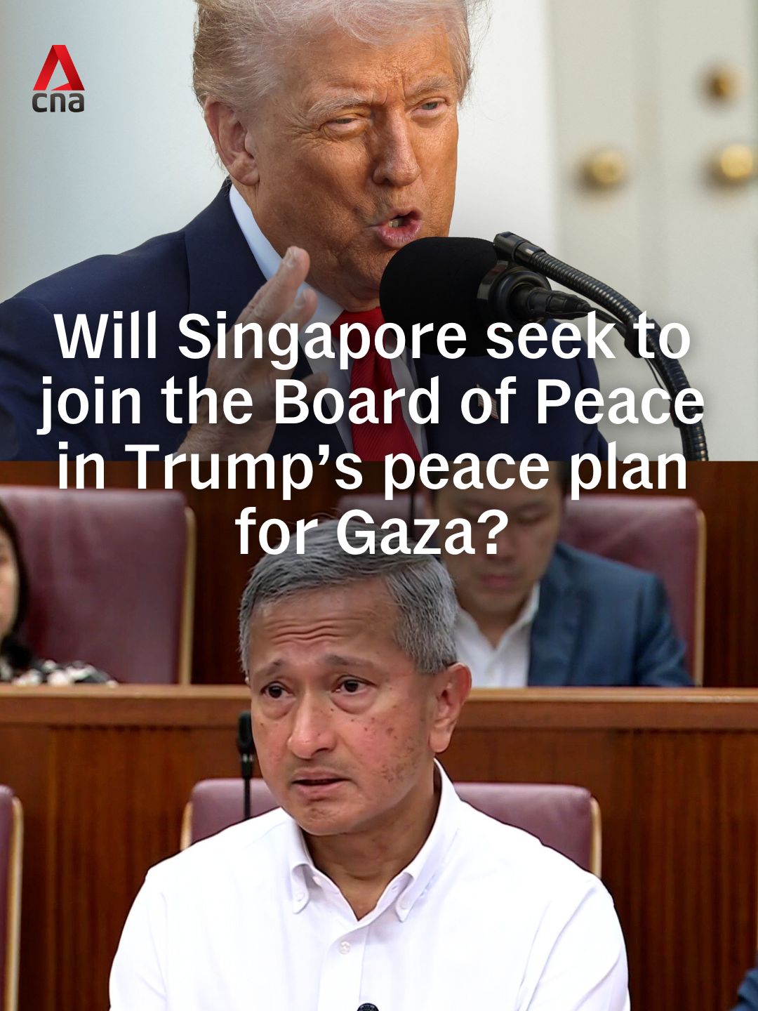 Will Singapore seek a seat at the Board of Peace, which will temporarily oversee the administration of Gaza? This is what Foreign Affairs Minister Vivian Balakrishnan said. #singapore #sgnews