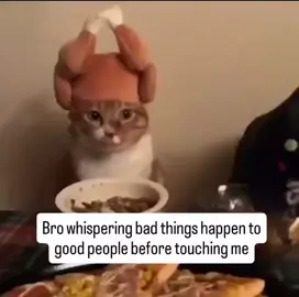 #funny #meme #memes #memestiktok #fyp 