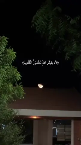 #قران #قران_كريم #fyp 