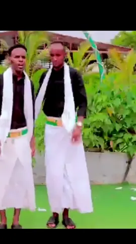 dhaanto Cajiiba 