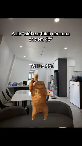 Quá hạnh phúc đi 🥹🥹🥹 #xuhuong  #meme  #xuhuongtiktok  #meow  #homestaydoirong 