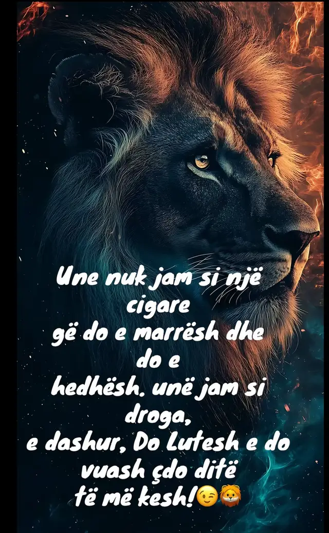 🦁🦁🦁