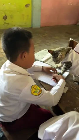 @Pak_ributguruviral#KucingeIkutSekolahRiskiTapiNgantuk🤣🤣🤣#viraltiktok #vidio_viral #vidiolucu #fypシ゚viral🖤tiktok 