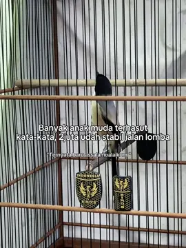 hihi kena kau 🤭 #CapCut #basecampsarjanacendet #fypシ #cendetmaniaindonesia 