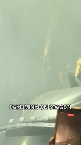 IS THAT FAKE MINK?! #fakemink #playboicarti #yvl #42ceo 