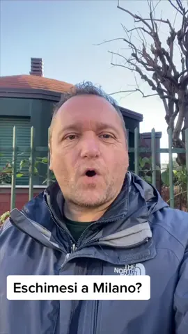 Eschimesi a Milano? Non proprio. Case igloo a Milano. 