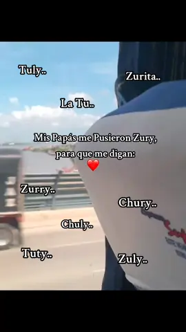 Me encanta cada uno de ellos🥹. #paratiiii #fpy #viraltiktok #zury #apodos amo cada q me dicen así💗.