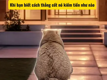 Khi bạn biết anh em mình đã kiếm được tiền như nào. #vuive #meowmeow #meme 