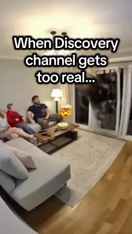 Comment ‘MOOSE’ to learn how to make videos like this on autopilot while you sleep 😴🔥 #funnyvideo #funnyanimal #fyp #viralshorts #comedygold 