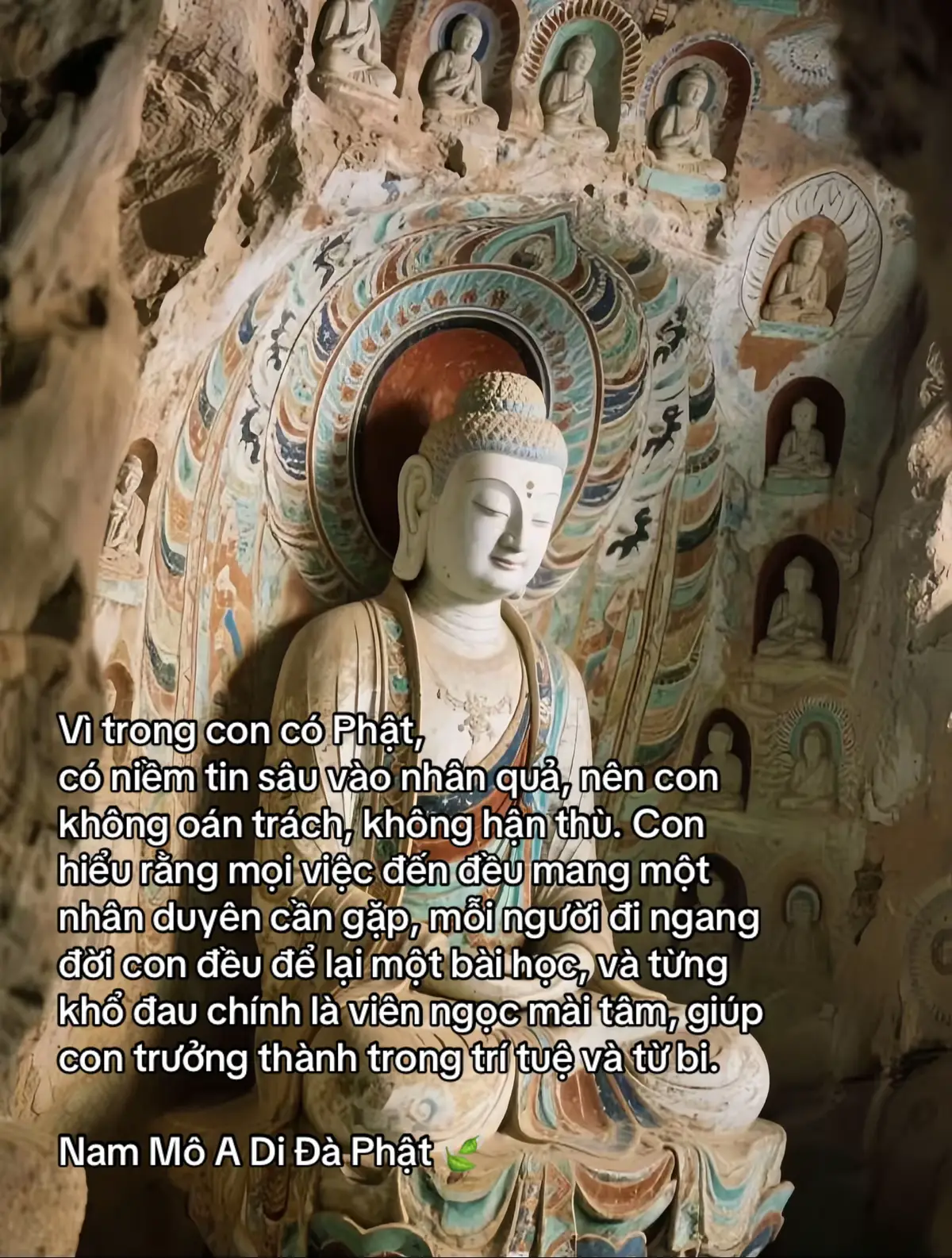 #phatphapnhiemmau🙏🙏🙏  #hanhphucsedenvoiban🍀  #tuoitrehocphat  #xu 