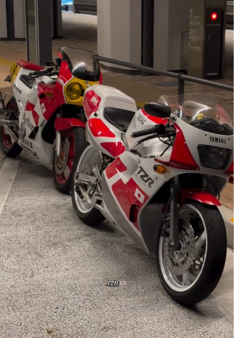 𝘿𝙪𝙤 ❤️💛 #tzr250 #yamaha #japan #viralvideo #fyppppppppppppppppppppppp 