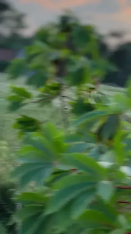 ✨ #fyp #astreacoolop #kediri24jam #astreagank🚀 #astreagrandindonesia 