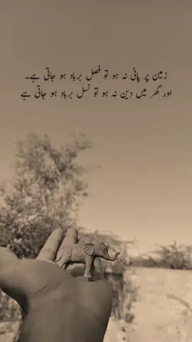 true lines 💯🙌🏼📝#foruyou #foryoupagе #fadiwrites09 