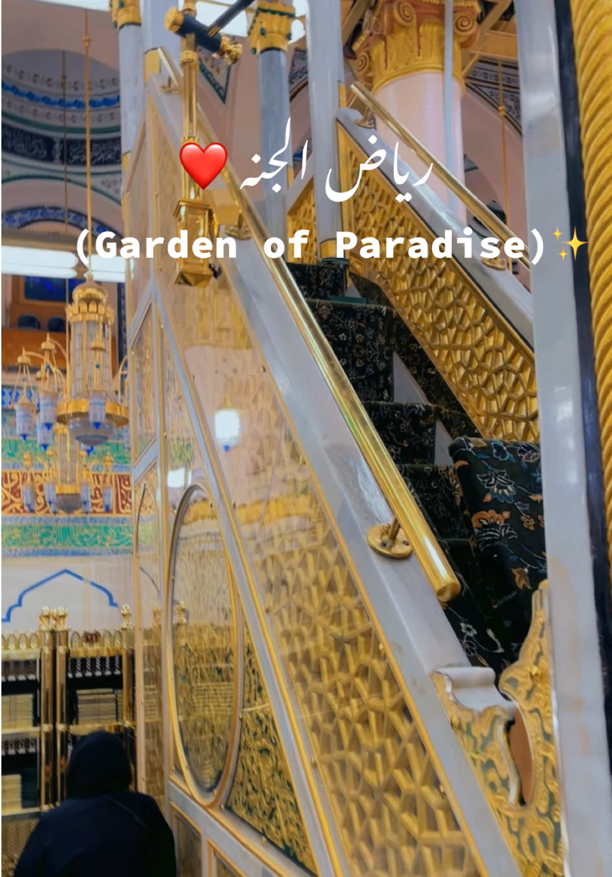 Garden of Paradise❤️🌸 #foryoupage❤️❤️ #trending #viralvideo #riyazuljannah #makkahmadinah🕋 