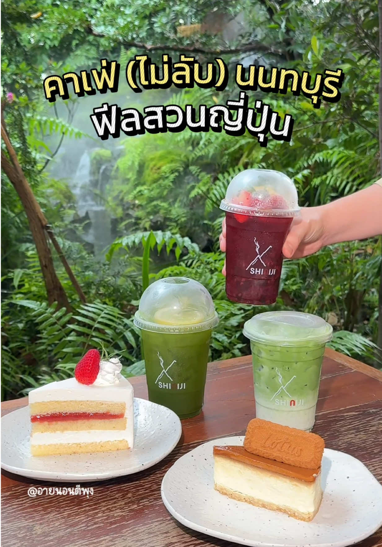 คาเฟ่ไม่ลับฟีลสวนญี่ปุ่นที่ชาวนนบบุรีแนะนำมาเอง✨ #อายนอนตีพุง #นอนตีพุง #TikTokพากิน #ShinijiSushiBarandCafe #ShinijiSushiBar  