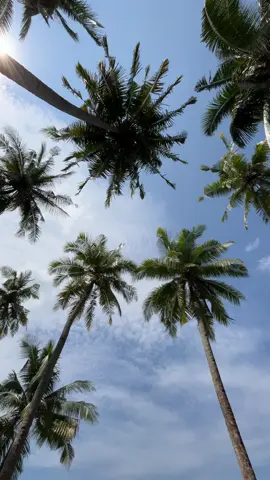 Banyak cerita yang ingin kusampaikan #krui #pesisirbarat #enjoykrui #beachvibes #fyp 