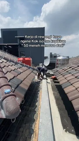 Dadi opo teman2 ???#fyp #kulibangunan #stopjudi 