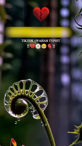 سہ می پہ آرمان اوخواڑی 😭💔🥺🫵 #please #foryoupage #wahabtypist41 #pashtopoetry #unfreezmyaccounts🙏🙏 @TiktokPakistanOfficial 