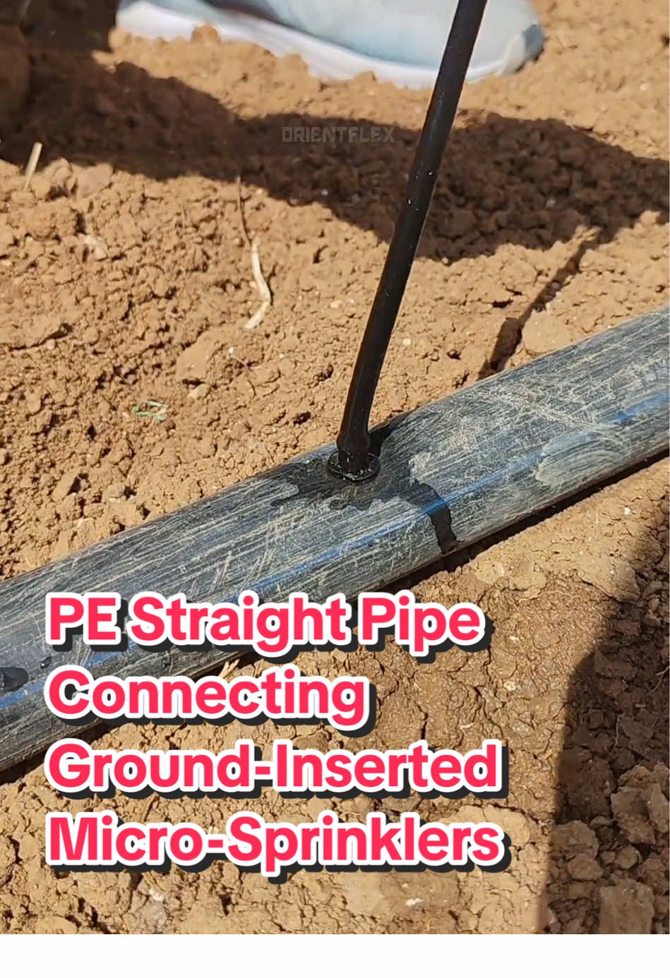 PE Straight Pipe Connecting Ground-Inserted Micro-Sprinklers  #valve #Irrigation #agriculture #dripirrigationsystem #watersavingirrigation #dripirrigationsupplies #harvest #tips #supplier #factory #manufacture #plantation #plants #farm #irrigationtools 