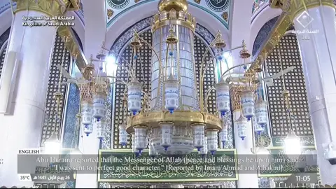قال رسول الله صلى الله عليه وسلم: إنما بعثت لأتَمَّمَ صالح الأخلاق 🌿🤍 #السنة_النبوية 