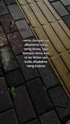 dibalekne marai loro, ora dibalekne kok yo duso #bojoneuwong #istriorang #barangslundupan #foryou #bahanswmu 