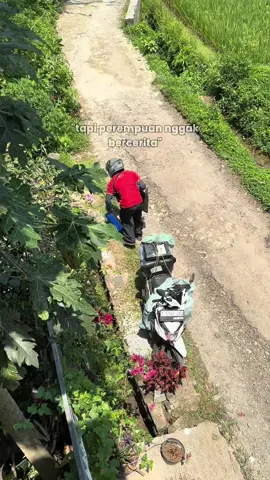 #paket #perempuantidakbercerita #abangkurir #setia #storytime 