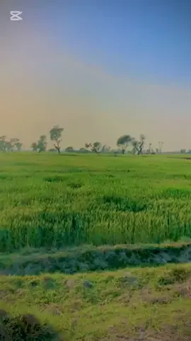 Money off power ☠️💸#foryoupage❤️❤️ #moneypowerrespect💲💪#vrilvideo100k🔥 ##viraltiktok