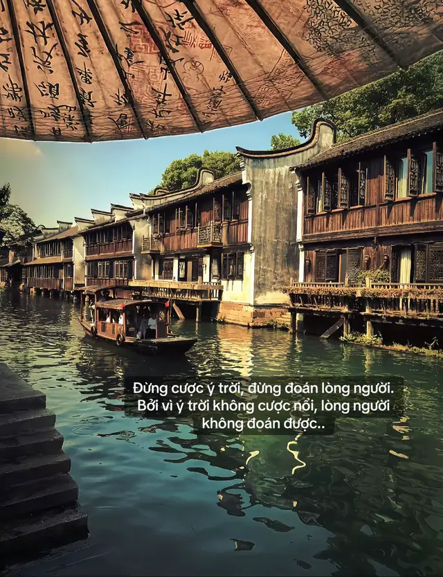 Đừng cược ý trời, đừng đoán lòng người. Bởi vì ý trời không cược nổi, lòng người không đoán được..#stthaymoingay #xuhuongtiktokk 