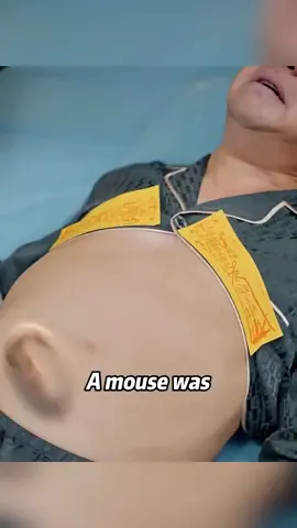 #somalitiktok #qulaso_films #epicsense #filim_turjuman #qulaso 