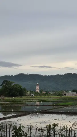 Setiap hari adalah kesempatan baru untuk meraih impianmu. #WL #wisatalamno #wisataacehjaya #pesonaindonesia #acehjaya 